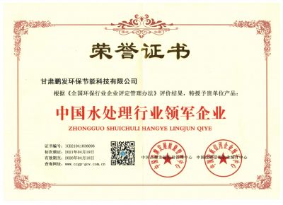 領軍企業(yè)榮譽證書